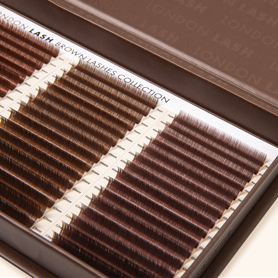 Brown Lashes Collection