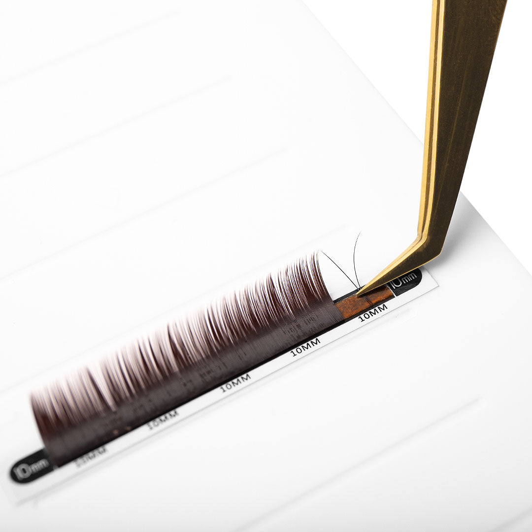 Tweezers Picking Up Volume/Classic Black Brown Mayfair Lashes