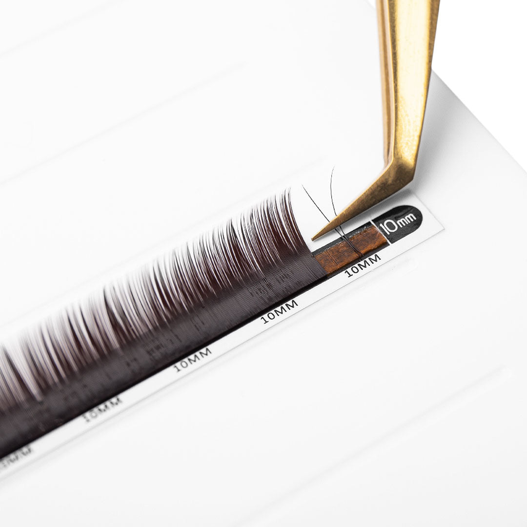 Tweezers Gathering Volume/Classic Black Brown Lashes