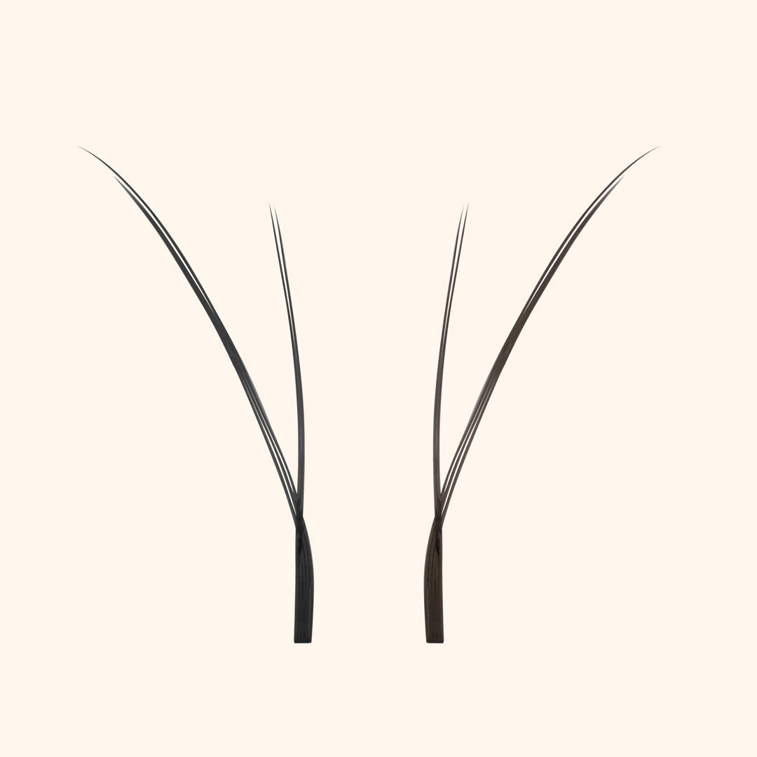 Kitten Lashes - Black