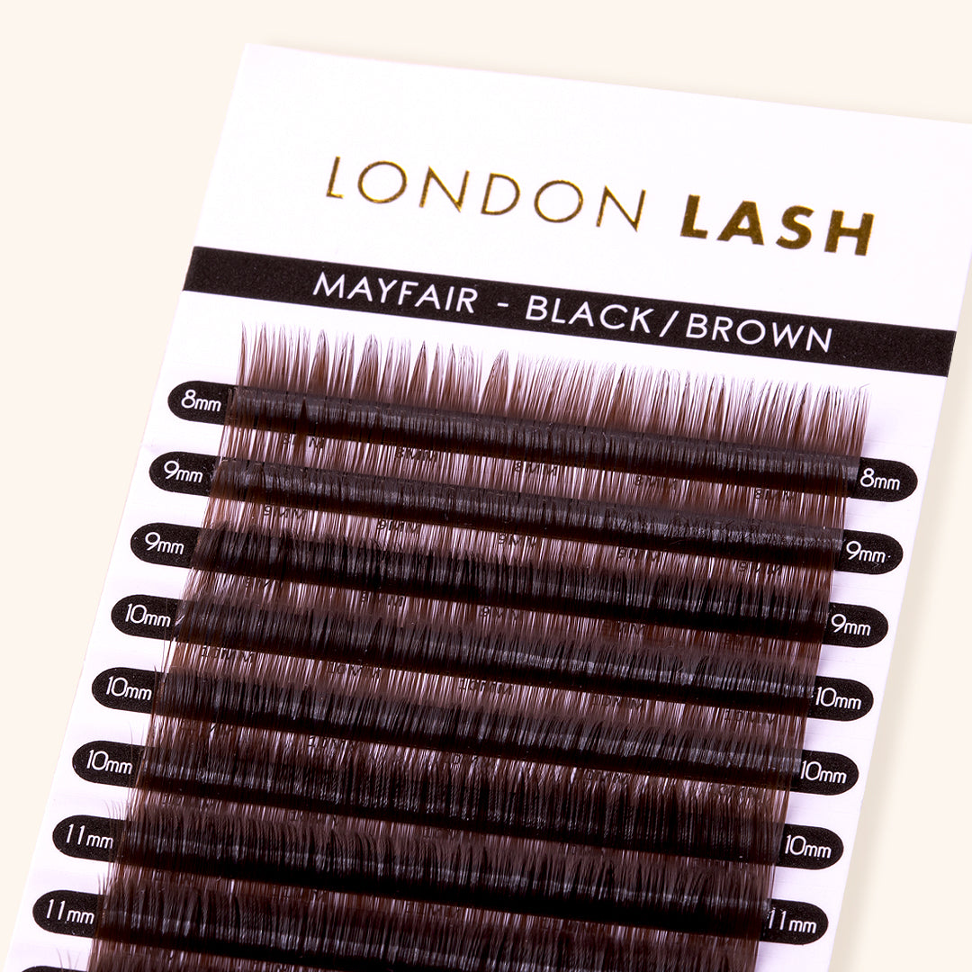 Mega Volume Black Brown Mayfair Lashes 0.03 Close Up