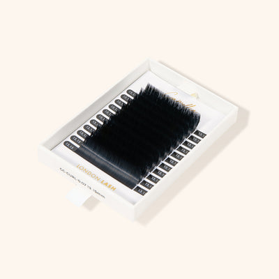 Tray of Camellia Easy Fanning Lashes