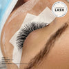 Lash Set Using Premade fans Mayfair 4D 0.07 fans