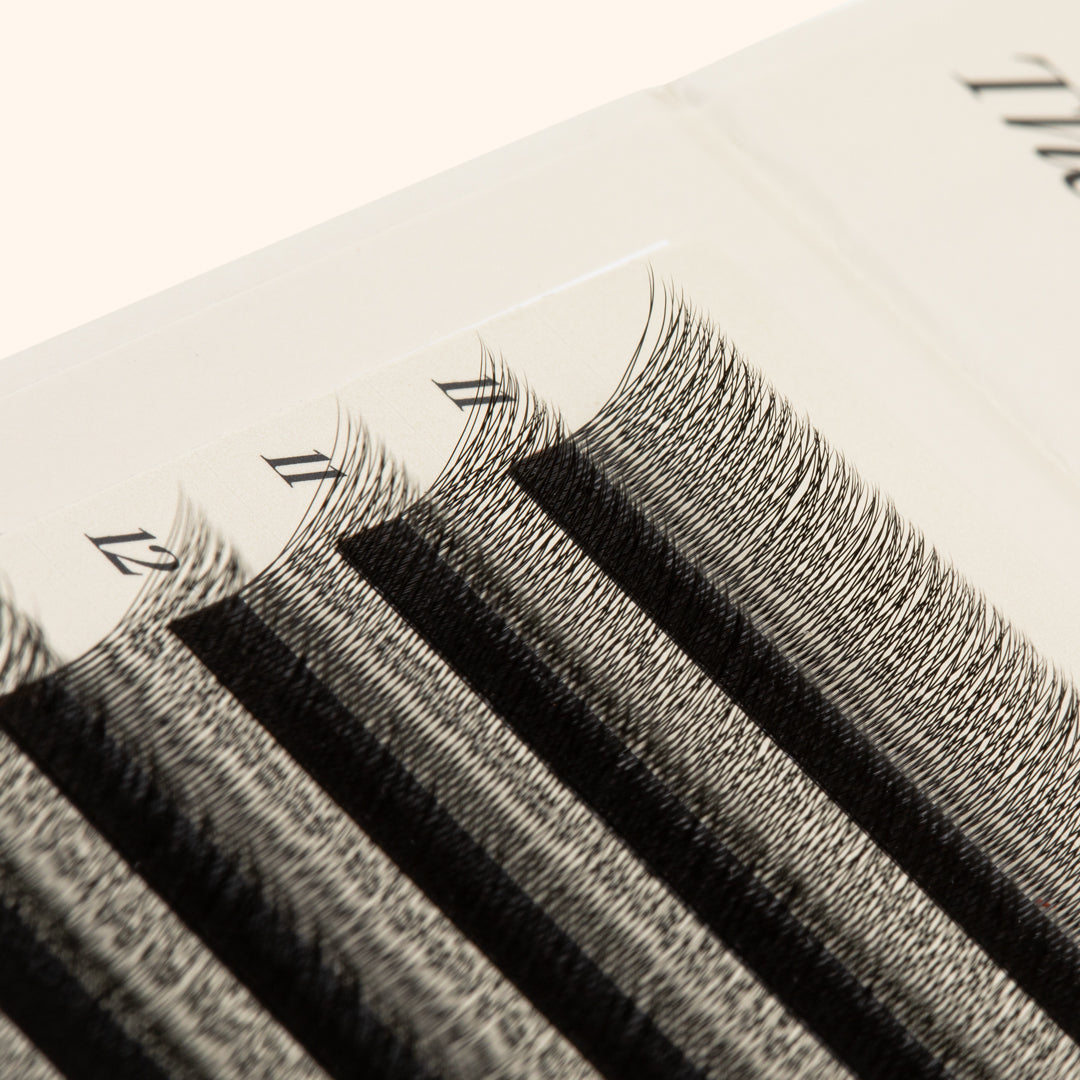 Lash Extensions